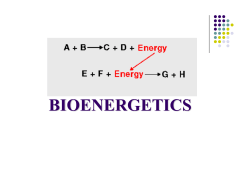 BIOENERGETICS