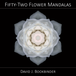 Fifty-Two Flower Mandalas