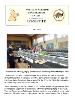 The Midland Club held a successful Open Show on the 25th June at
