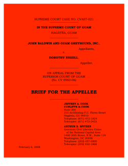 pdfBrizill Brief