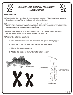 Chromosome Mapping Assignment INSTRUCTIONS