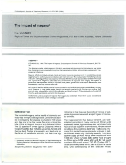 The impact of nagana*