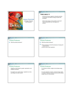 Ecology Notes 3-2 Energy, Producers and