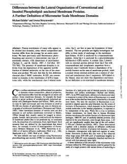 Differences between the Lateral Organization of Conventional and