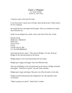 Zack`s Alligator