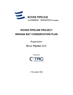 ROVER PIPELINE PROJECT INDIANA BAT CONSERVATION PLAN