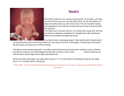 Month 6 - holyrosarycabrini.org