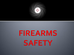 Gun Safety - Safe Insight