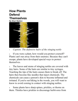 How plants defend themselves