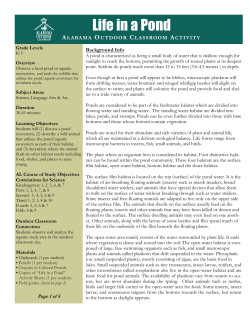 Life in a Pond - Alabama Wildlife Federation