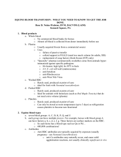 Equine Blood Transfusion- What You Need to Know to Get the Job