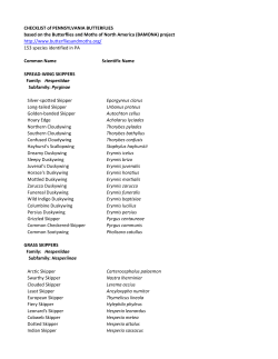 CHECKLIST of PENNSYLVANIA BUTTERFLIES based on the