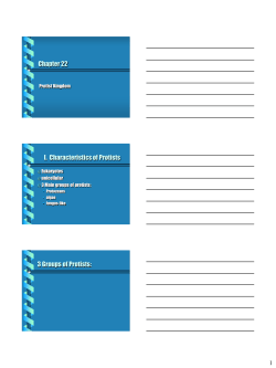 13:1 Characteristics of Protists
