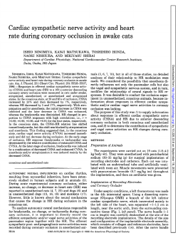 Cardiac sympathetic nerve activity and heart rate during coronary
