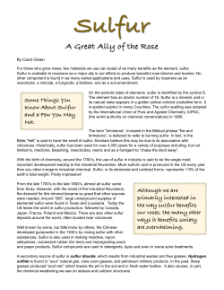 Sulfur - Rose - American Rose Society