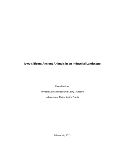 Iowa`s Bison: Ancient Animals in an Industrial