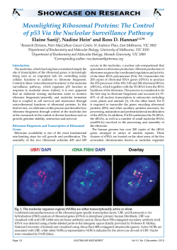 Moonlighting Ribosomal Proteins: The Control of p53 Via