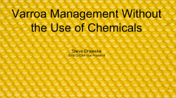 Alternative to mite controll presentation - Dodge