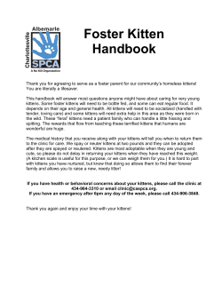 Foster Kitten Handbook