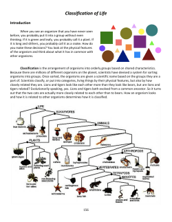 Classification of Life