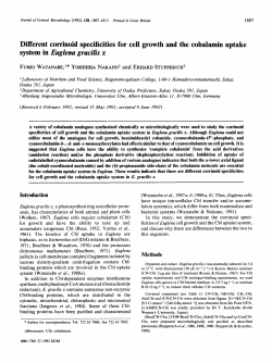 system in Euglena gracilis z