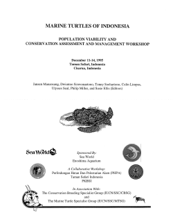 marine turtles of indonesia - Conservation Breeding Specialist Group