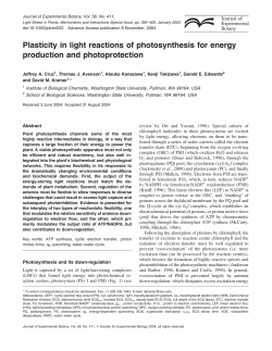 Plasticity in light reactions of photosynthesis for