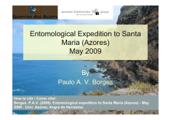 Preview of Images of Arthropod Species to be Posted during