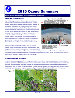 2010 Ozone Summary