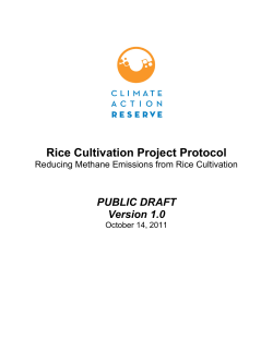 Rice Cultivation Project Protocol