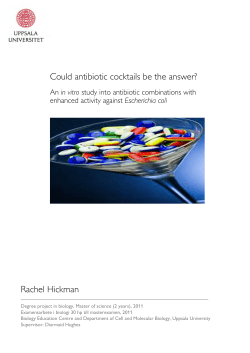 Could antibiotic cocktails be the answer?