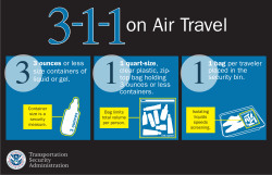 3 ounces or less size containers of liquid or gel. 1 quart