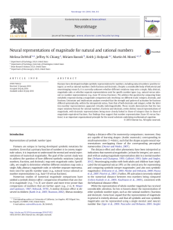 Neural representations of magnitude for natural and rational numbers