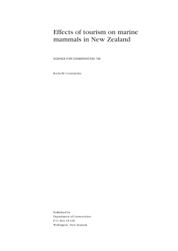 Effects of tourism on marine mammals in New Zealand
