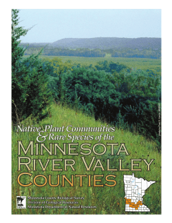 Geology of Minnesota River Basin