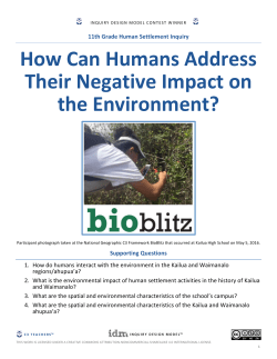 How Can Humans Address Their Negative Impact on