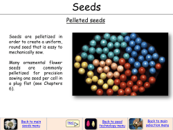 Pelleted seeds