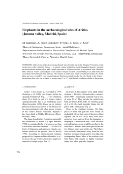 Elephants in the archaeological sites of Aridos (Jarama valley