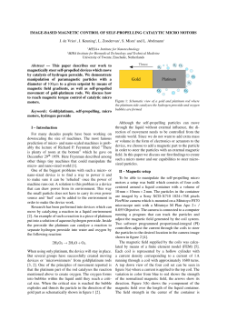 Image-based magnetic control of self