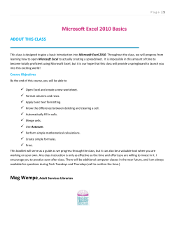Microsoft Excel 2010 Basics