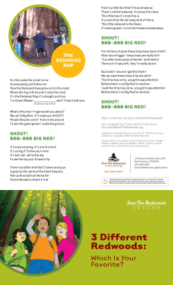 3 Different Redwoods - Save the Redwoods League