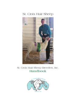 St. Croix Hair Sheep Handbook - St Croix Hair Sheep Breeders