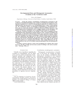 as a PDF