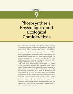 Photosynthesis: Physiological and Ecological Considerations