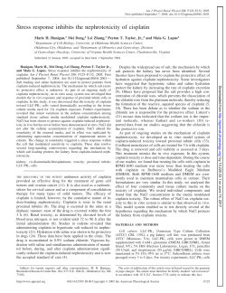 Stress response inhibits the nephrotoxicity of cisplatin - AJP