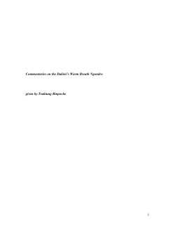 Commentaries on Dakini`s Warm Breath Ngondro