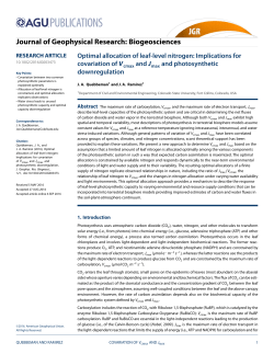 Optimal allocation of leaf-level nitrogen