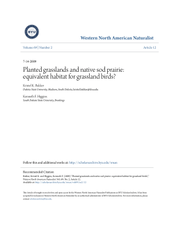 Planted grasslands and native sod prairie: equivalent habitat for