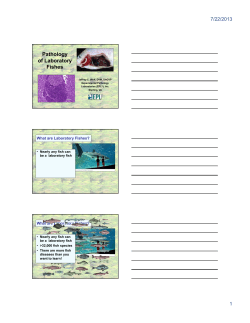 Adobe PDF - CL Davis Foundation