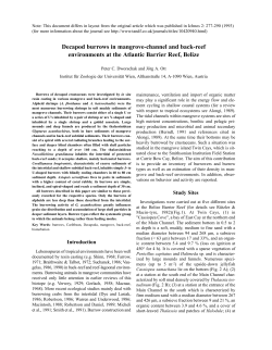 Decapod burrows in mangrove-channel and back